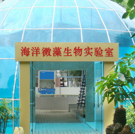 深圳市科仙生物能源研究所 以科技服務驅動生物能源創(chuàng)新研究