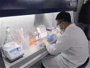 博隆基因 打造國家級基因工程抗體研究中心，助推生物科技研究邁上新臺階