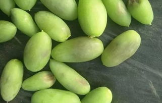 植?？萍贾r業發展，特色產業推動鄉村振興